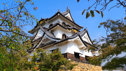 彦根城6（天守閣）