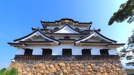 Fototapeta premium 彦根城9（天守閣）