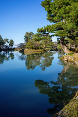 Fototapeta na wymiar Lush pine trees gracefully bend over the still waters, creating a perfect mirror-like reflection beneath the clear sky.