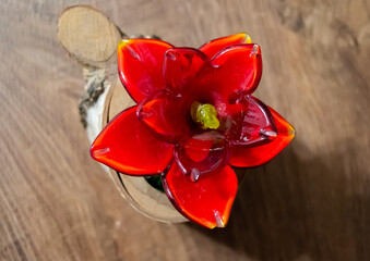 Glass Red Venice flower looking so good on wooden background 