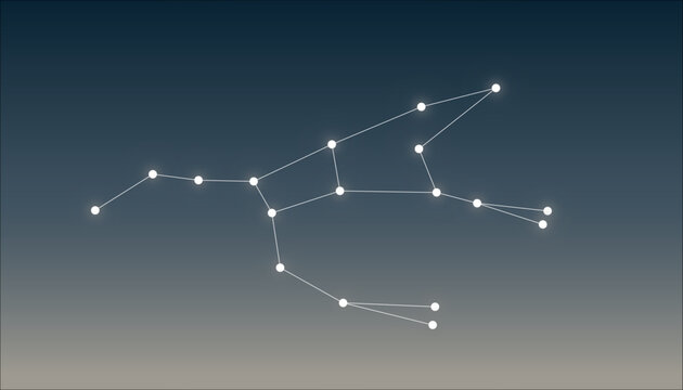 constellation Ursa Major, vector