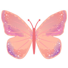 butterfly illustration