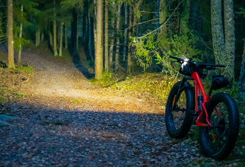 Fat tire biking in the forest at dark
