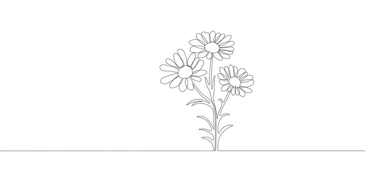 continuous single drawn one line chamomile flower hand-drawn picture silhouette. Line art.