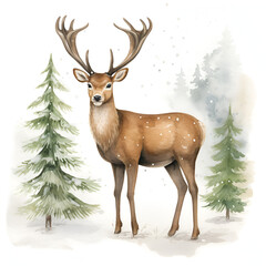 Huge Christmas Watercolor Clipart 