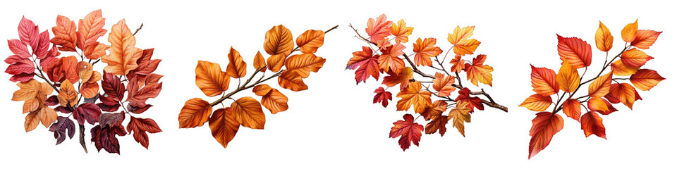 autumn leaves Hyperrealistic Highly Detailed Isolated On Transparent Background Png File - obrazy, fototapety, plakaty