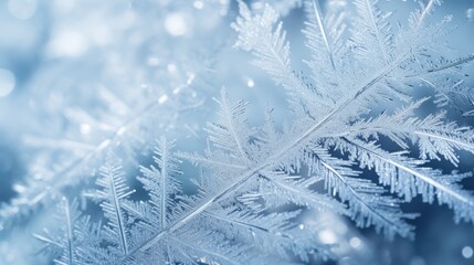 Snowflakes Close-up frost patterns beautiful background. Hello Winter, Merry Christmas, Happy New Year concept. Hoarfrost Ice crystals wallpaper. Frosty transparent snowflake texture..