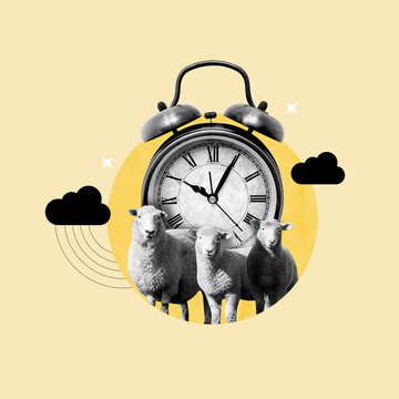 insomnia, sheep and a clock, not being able to sleep, counting sheep, sleep, at night, stars, Sheep, Sleep, Count, Clock, Bedroom, Room, Cloud, Wake Up, Alarm Clock, Doze, Moon, Reminder, Time