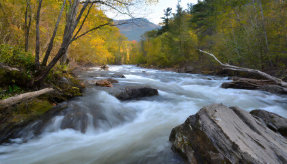 Rushing River in the Wilderness