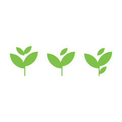 Illustration of green and fresh plant seeds