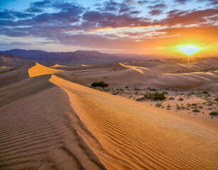 Fototapeta na wymiar Desert Sand Dunes at Sunrise