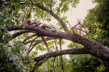 A fit, athletic woman climbs a tree in a green park, exercising and warming up her body. She enjoys a sporty and active lifestyle, training outdoors in nature.