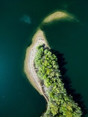 Obraz premium Aerial view of forest with dense trees