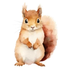 Fotobehang Watercolor squirrel. Vector illustration with hand drawn squirrel. Clip art image. © Hanna ArtLab