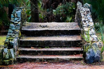 Stone staircase in the park surrounded by green plants. New Orleans, Louisiana. - Powered by Adobe