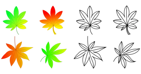Muurstickers Tropische planten Set of maple leaves, white background.