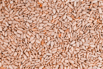 An image of sunflower seeds - background, detail
