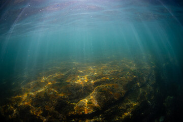 Fototapeta na wymiar Big rock and sunlight underwater.