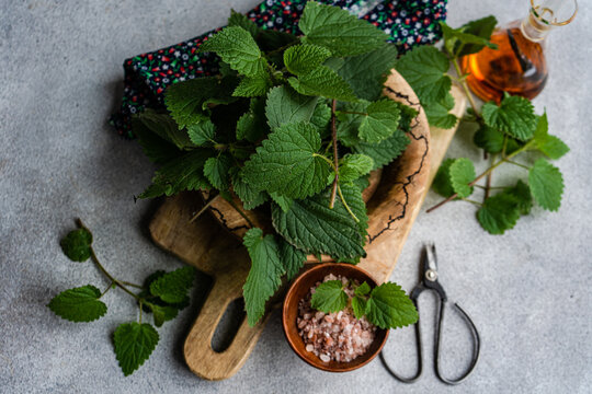 Vegan tableau with nettle, salt and oil