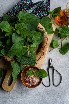 Vegan tableau with nettle, salt and oil