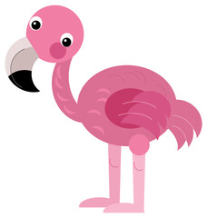 Cartoon animal happy tropical bird flamingo isolated illustration for children