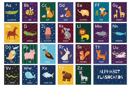 Alphabet flashcards collection with cute animals. ABC flash cards set for practicing reading skills. Great for school and preschool. Vector illustration