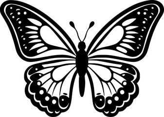 Butterfly | Black and White Vector illustration