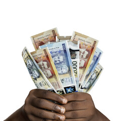 Black hands holding Jamaican dollar notes. closeup of Hands holding Jamaican currency notes