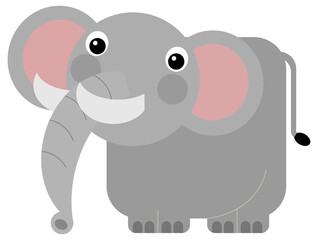 Cartoon wild animal happy young elephant isolated illustration for children