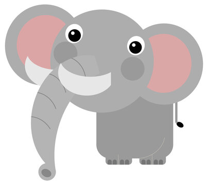 Cartoon wild animal happy young elephant isolated illustration for children