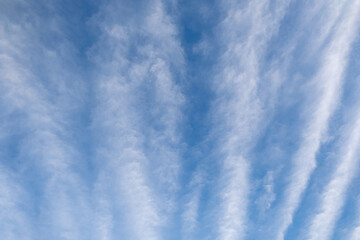 Stripped puffy cloud, dramatic skyscape. Amazing clouds on blue sky light of nature