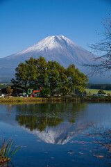 富士山のふもとのキャンプ場から望む富士山