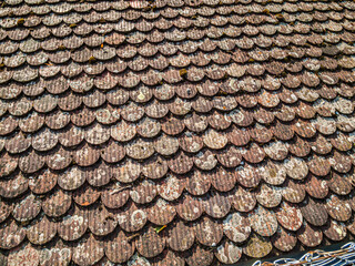 Shingle Roof