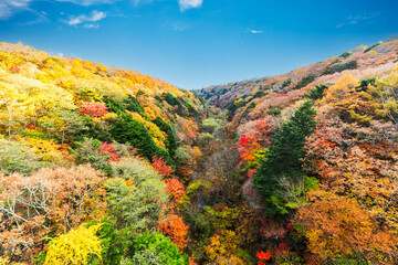 (山梨県ｰ風景)秋の清里高原から見る紅葉風景１