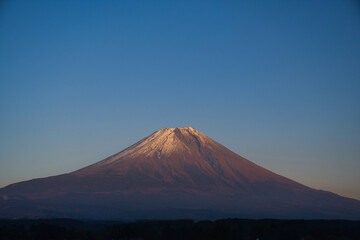Fototapeta premium 富士山のふもとのキャンプ場から望む富士山