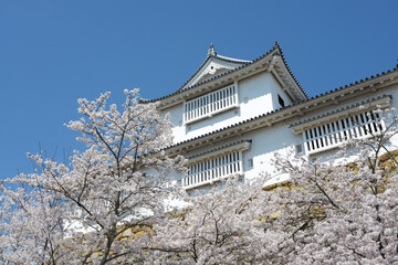 春の津山城　備中櫓　岡山県津山市山下
