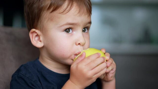 Cute adorable Caucasian toddler eating yellow apple. Kid shows the fruit to the camera. Close up. Blurred backdrop.