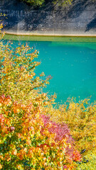 エメラルドグリーンが美しいダムの水と楓