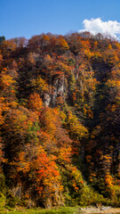 紅葉と空きの断崖、岩肌が美しい秋の風景