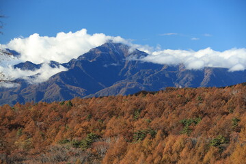美し森、展望台から眺めた山々と木々