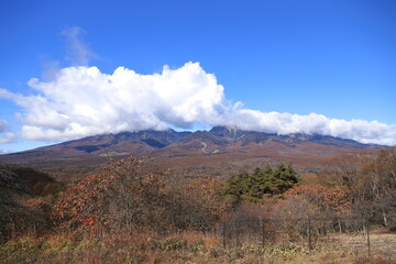平沢峠、2023年秋の風景