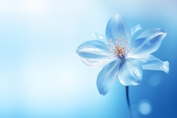 Fototapeta na wymiar Soft focus of a flower on a blue background in the style of bokeh panorama with copy space