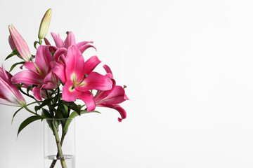 Beautiful pink lily flowers in vase on white background, space for text