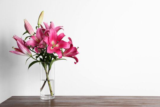 Beautiful pink lily flowers in vase on wooden table against white background, space for text
