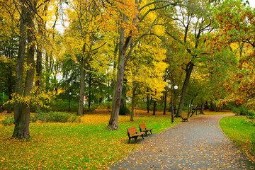 Path in Solacz Autumn Park with Lanterns and Benches. Poland, Poznan
