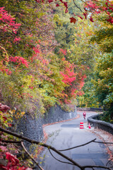A man riding a bike in Henry Hudson Drive of  the Palisades Interstate Park in New Jersey  in an...