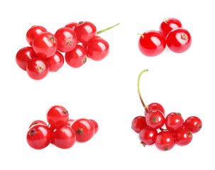 Ripe red currants isolated on white, set