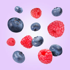 Fresh ripe blueberries and raspberries falling on violet background