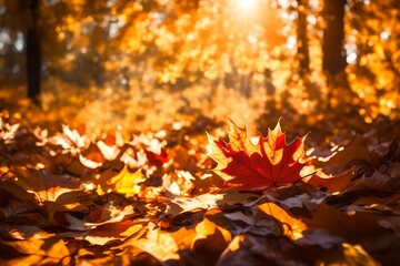 Naklejka na ściany i meble vivacious close-up of falling autumn leaves illuminated by the sun's colorful backlight
