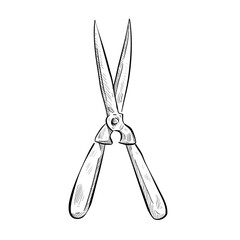 Garden shears handdrawn illustration